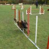 agility 2011-10-30